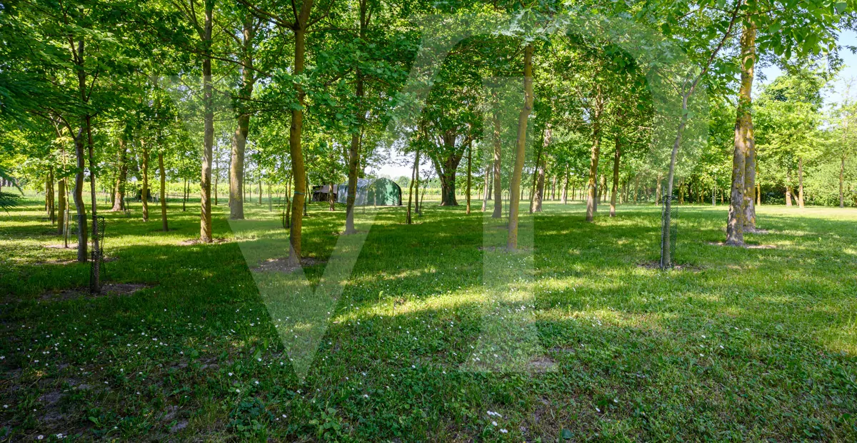 Maravillosa casa de campo perfectamente restaurada