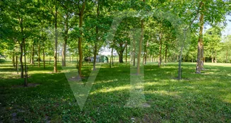 von_poll_real_estate_property_IT21355734_image_26