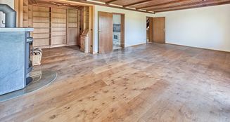 von_poll_real_estate_property_25195033_image_8