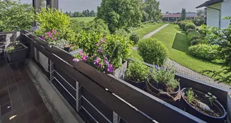 von_poll_real_estate_property_25195039_image_0