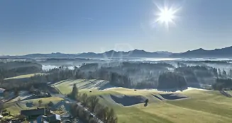 von_poll_real_estate_property_25195052_image_0