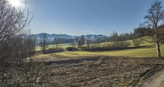 von_poll_real_estate_property_25195052_image_4