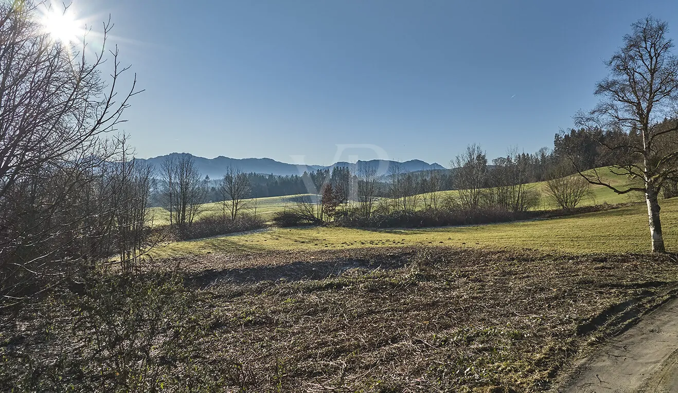 COMING SOON!........mit Option auf  mehr !!