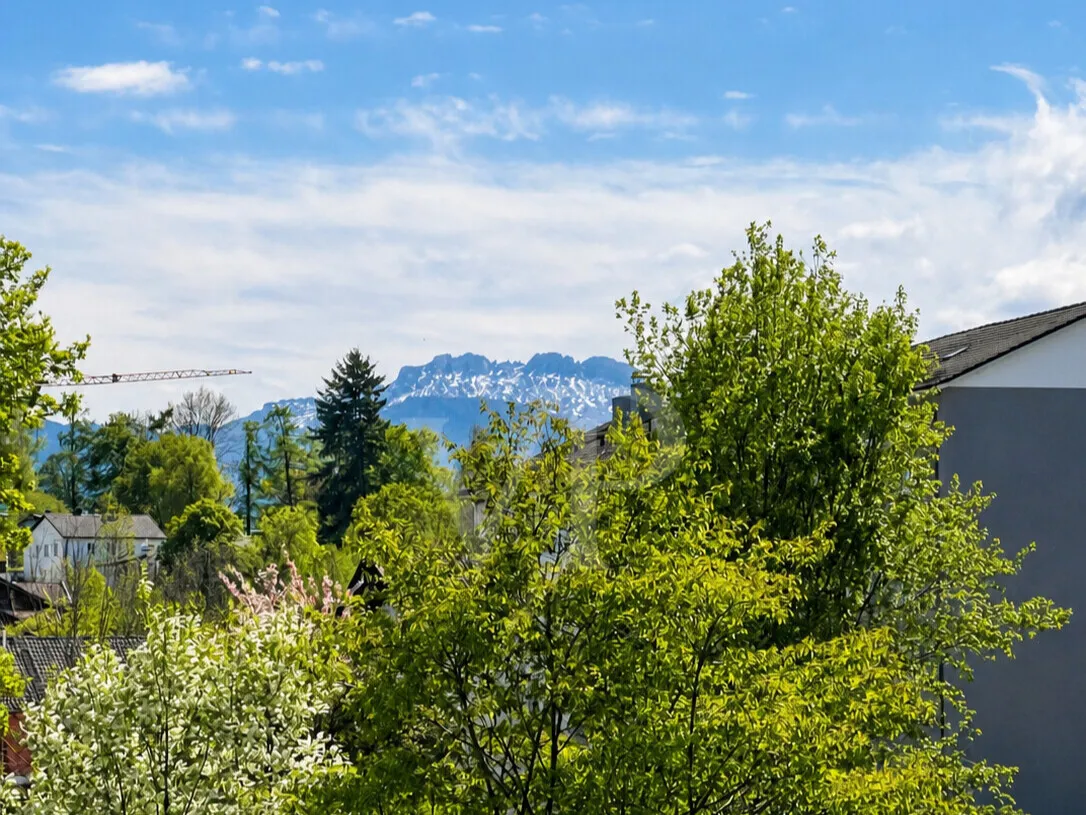 Bergblick vom Balkon