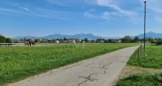 von_poll_real_estate_property_26195024_image_32