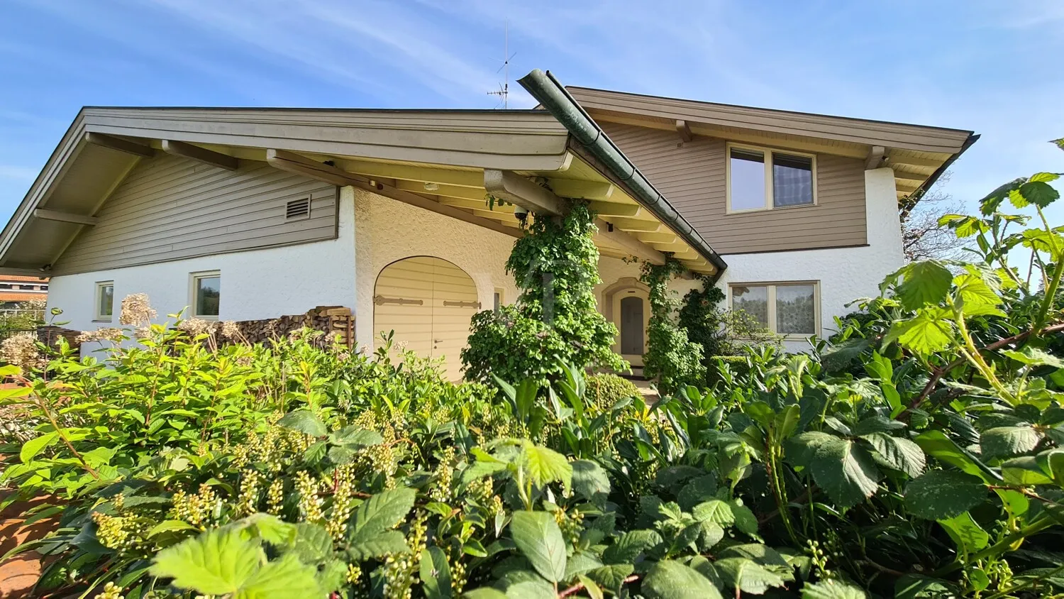 Eingangsbereich mit Garage ...