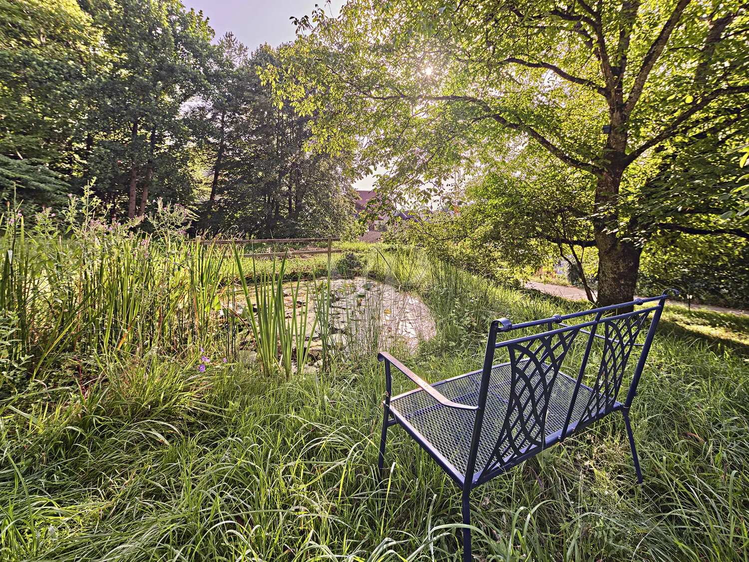 Naturnaher großer Garten