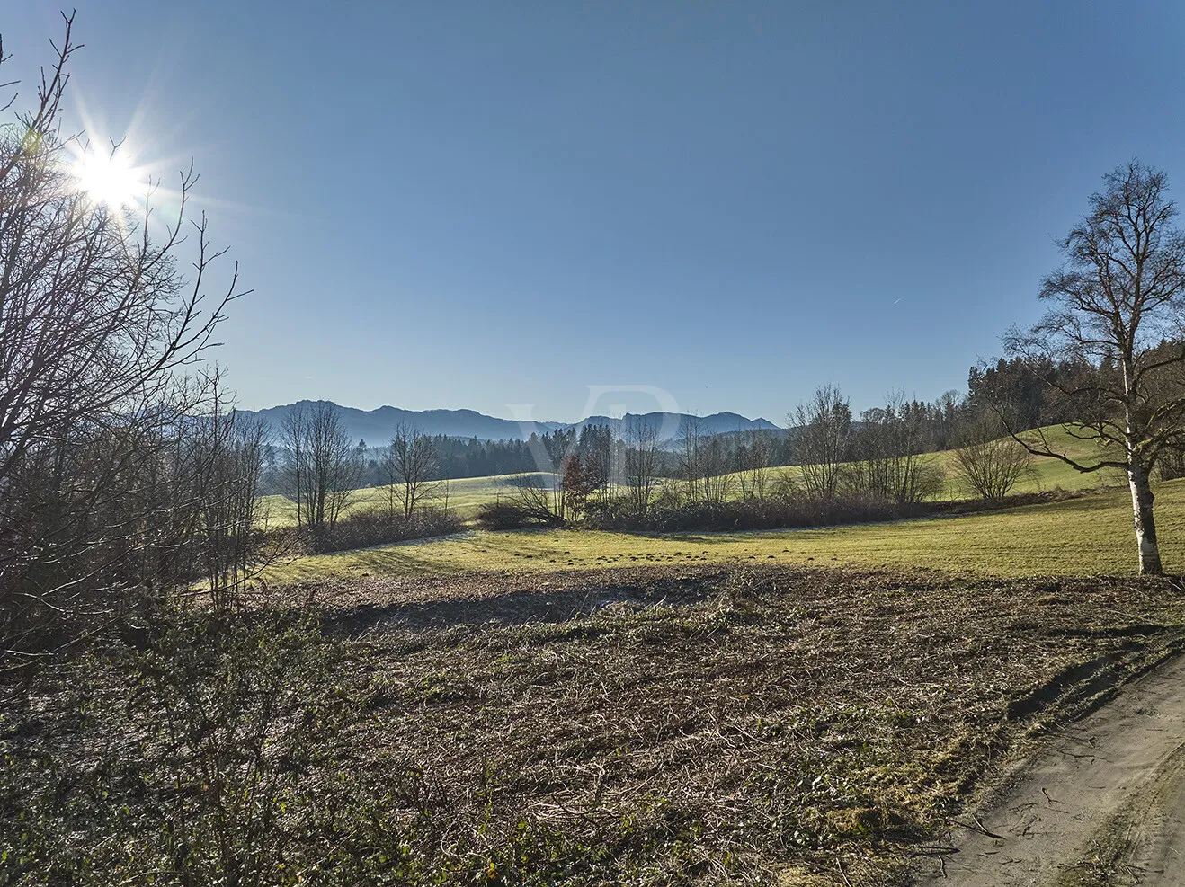 COMING SOON!........mit Option auf  mehr !!