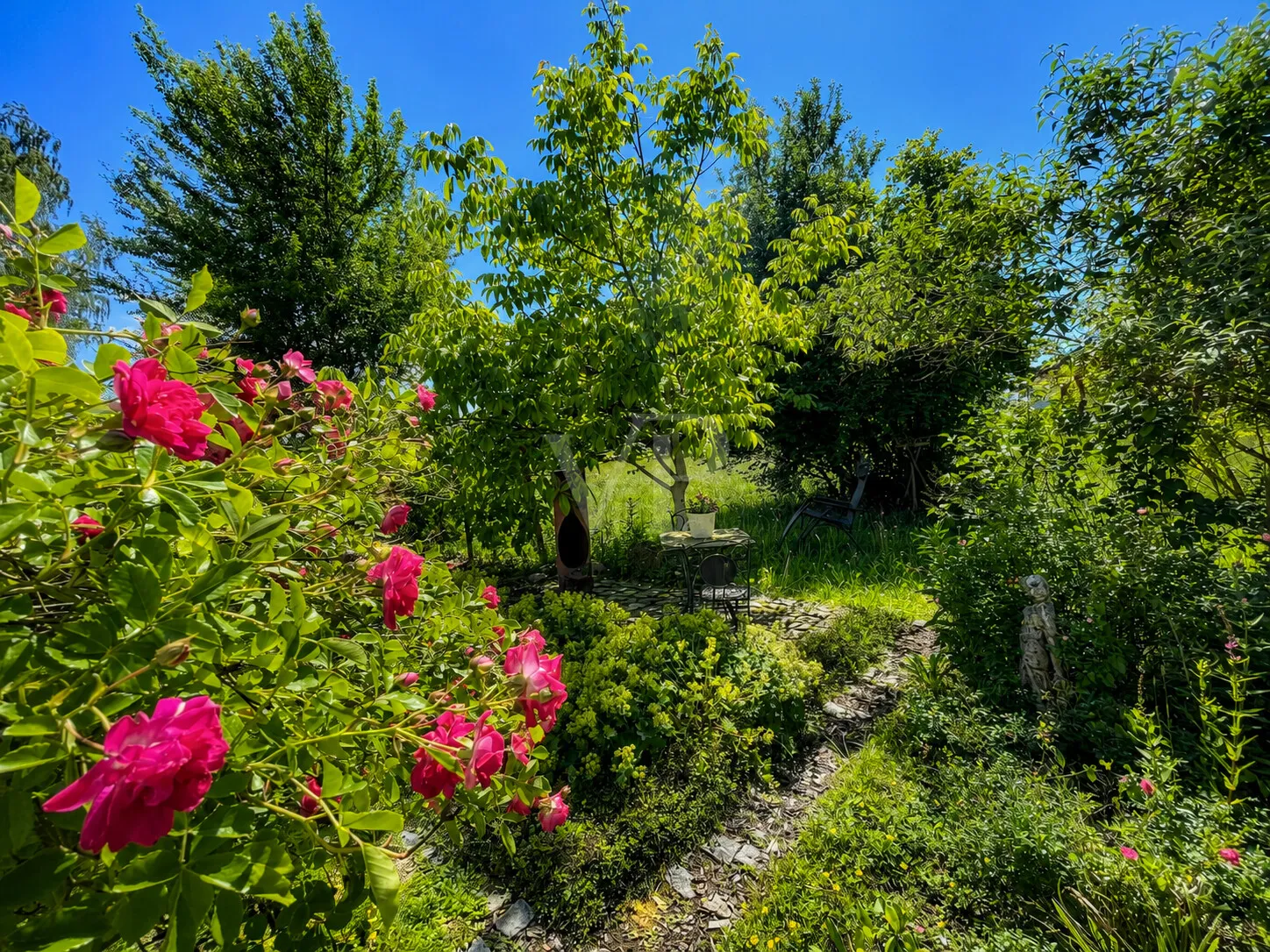 Blick in den Garten