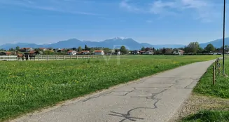 von_poll_real_estate_property_25195019_image_11