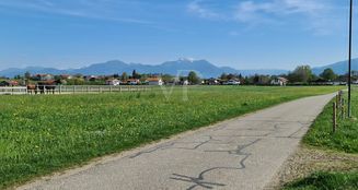 von_poll_real_estate_property_25195019_image_23