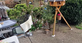 von_poll_real_estate_property_25195053_image_3