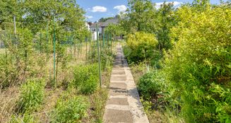von_poll_real_estate_property_25377010_image_11