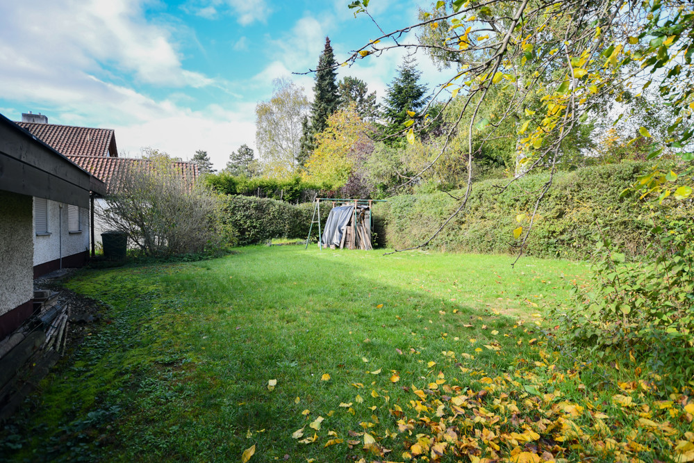 Blick in den hinteren Garten Richtung Westen