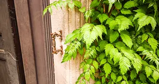 von_poll_real_estate_property_25369007_image_17