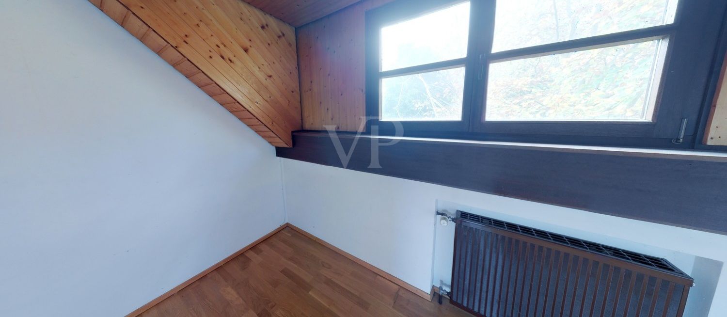 Zimmer DG