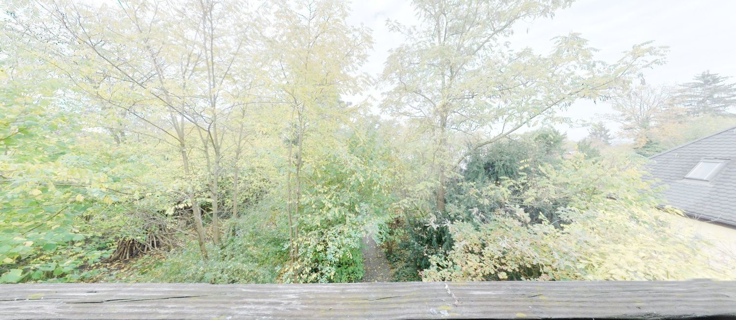 Blick in den Garten