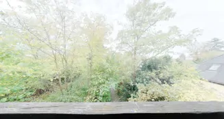 von_poll_real_estate_property_25369046_image_17