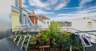 von_poll_real_estate_property_25369026_image_8