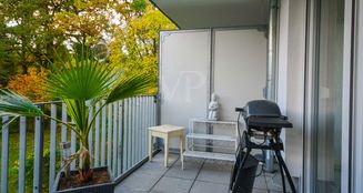 von_poll_real_estate_property_25369035_image_8