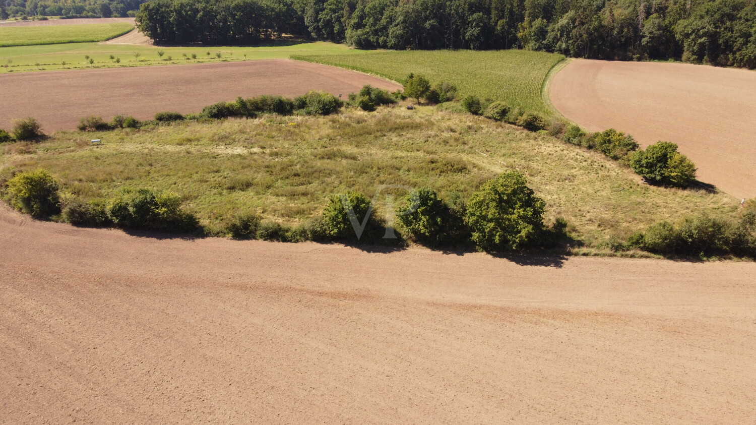 Draufansicht