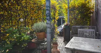 von_poll_real_estate_property_25369041_image_14