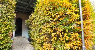 von_poll_real_estate_property_25369041_image_2