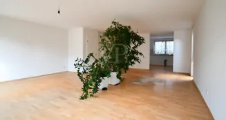 von_poll_real_estate_property_25369062_image_4