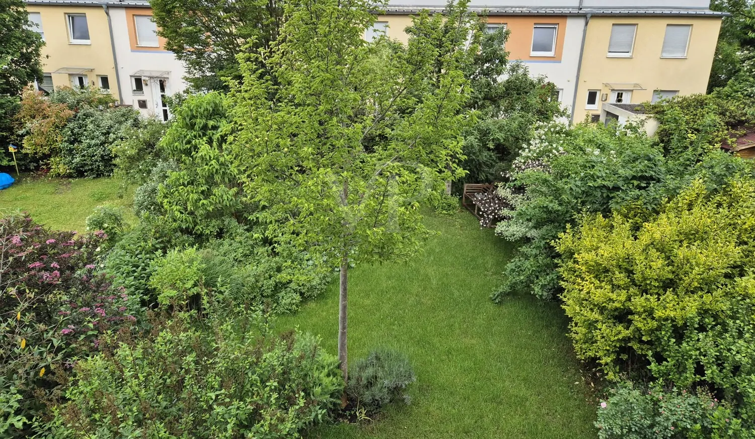 Garteansicht im Sommer