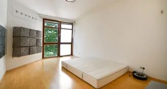 von_poll_real_estate_property_25369066_image_7