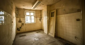 von_poll_real_estate_property_25369067_image_7