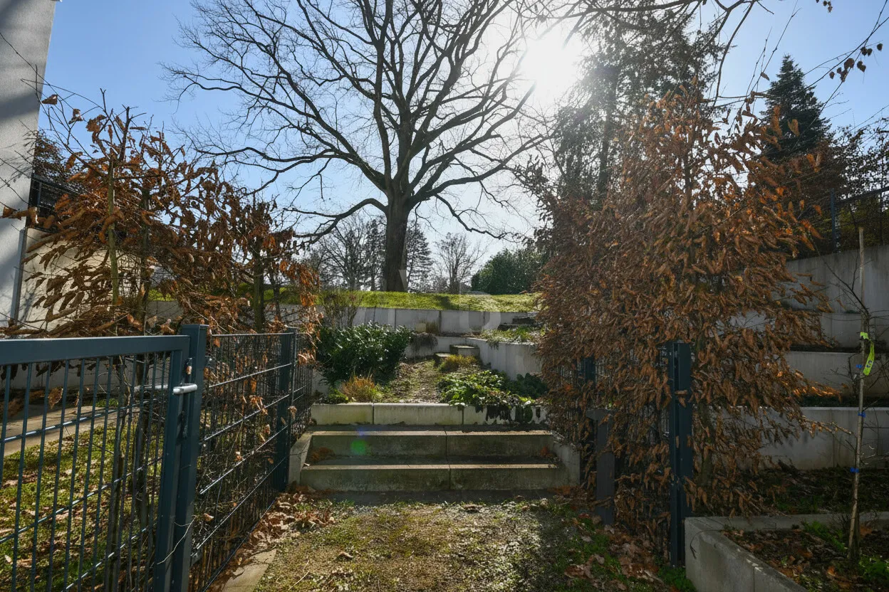 Seltener Gemeinschaftsgarten