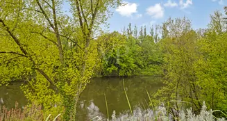 von_poll_real_estate_property_25378017_image_6