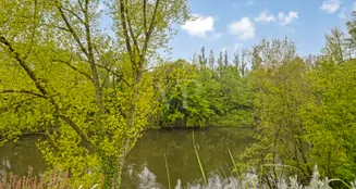 von_poll_real_estate_property_25378017_image_3