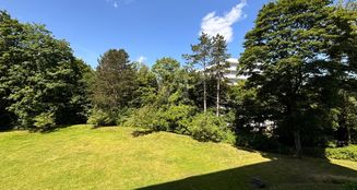 von_poll_real_estate_property_25378026_image_9
