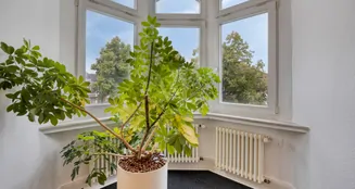 von_poll_real_estate_property_25378028_image_22