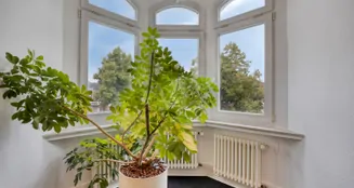 von_poll_real_estate_property_25378028_image_18