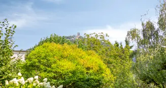 von_poll_real_estate_property_25378031_image_25