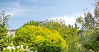 von_poll_real_estate_property_25378031_image_25