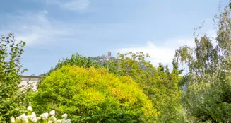 von_poll_real_estate_property_25378031_image_25