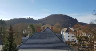 von_poll_real_estate_property_25378039_image_9