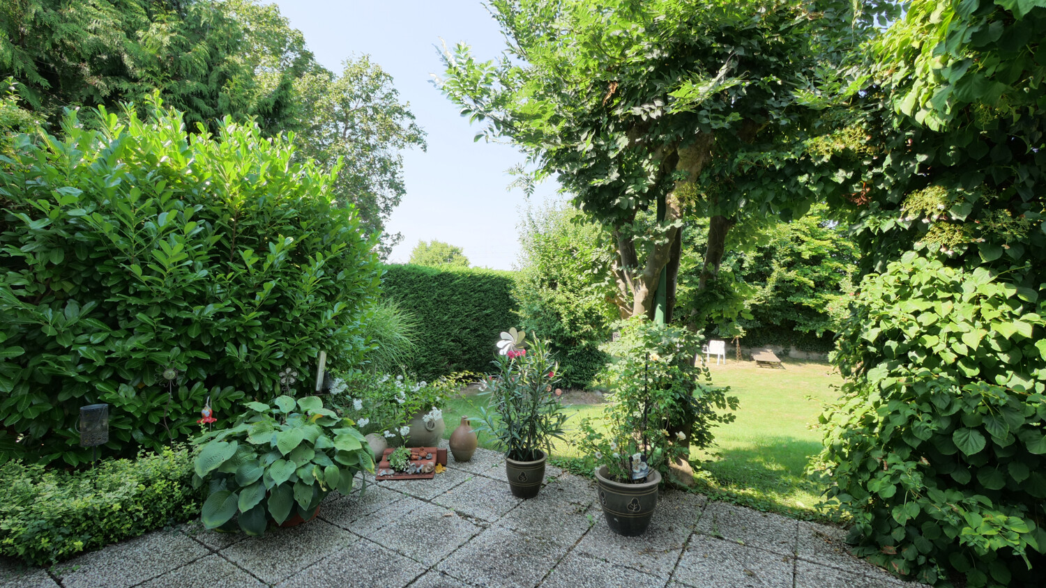 Blick in den Garten