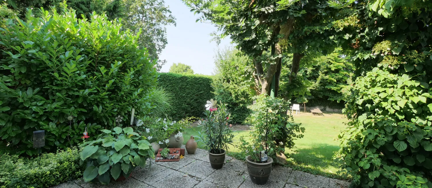 Blick in den Garten