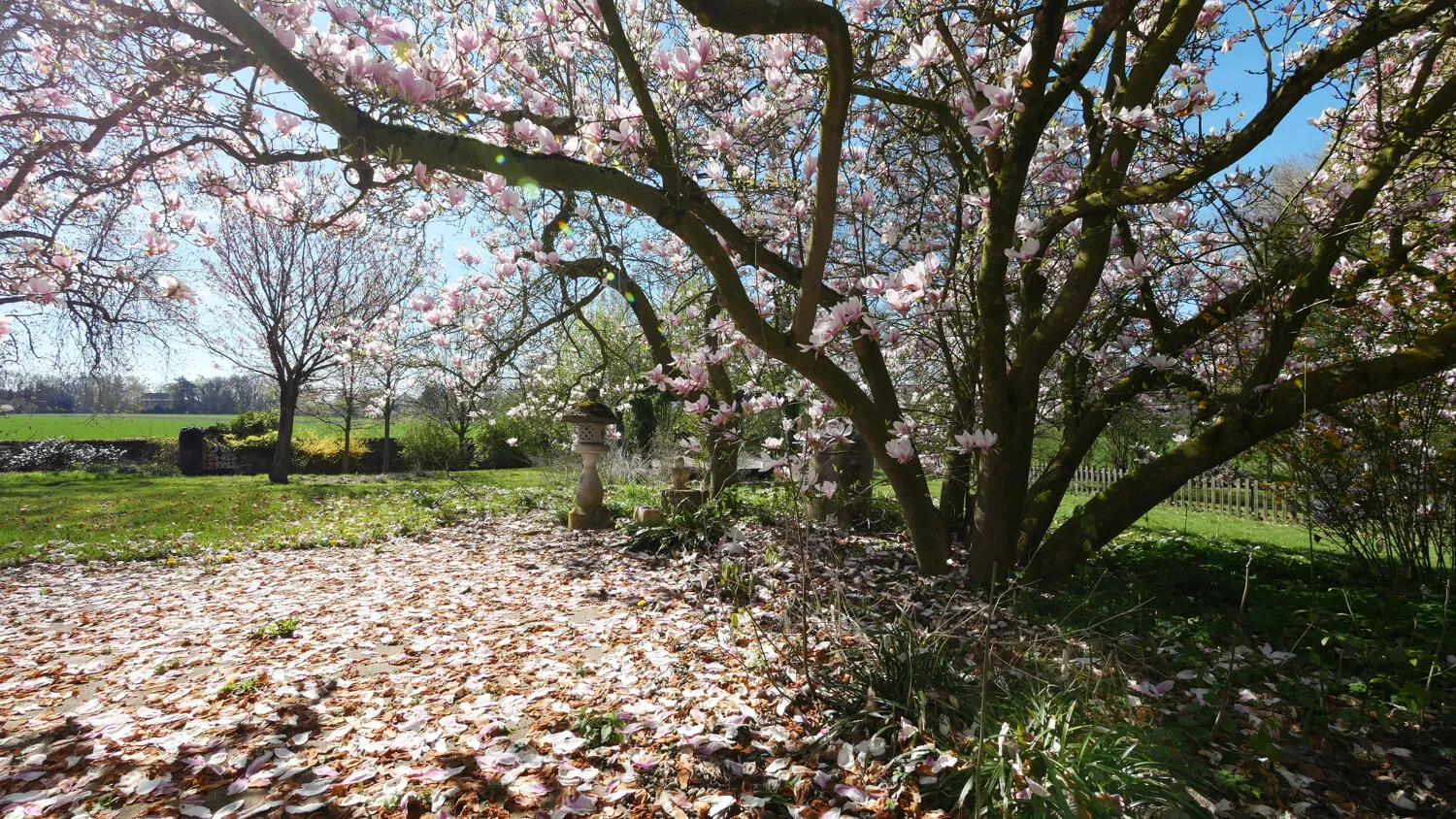 Garten