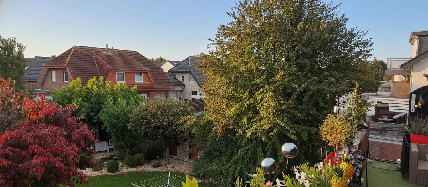 Blick in den Garten