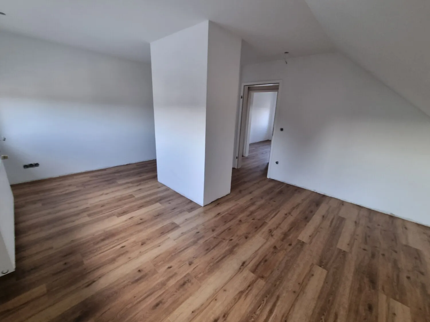 Zimmer DG