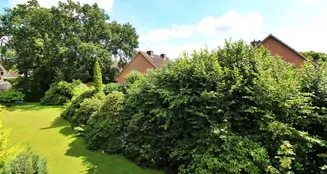 von_poll_real_estate_property_25157012_image_6