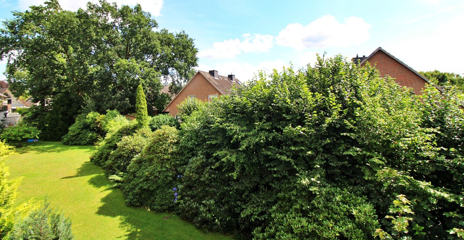 Gemeinschaftsgarten