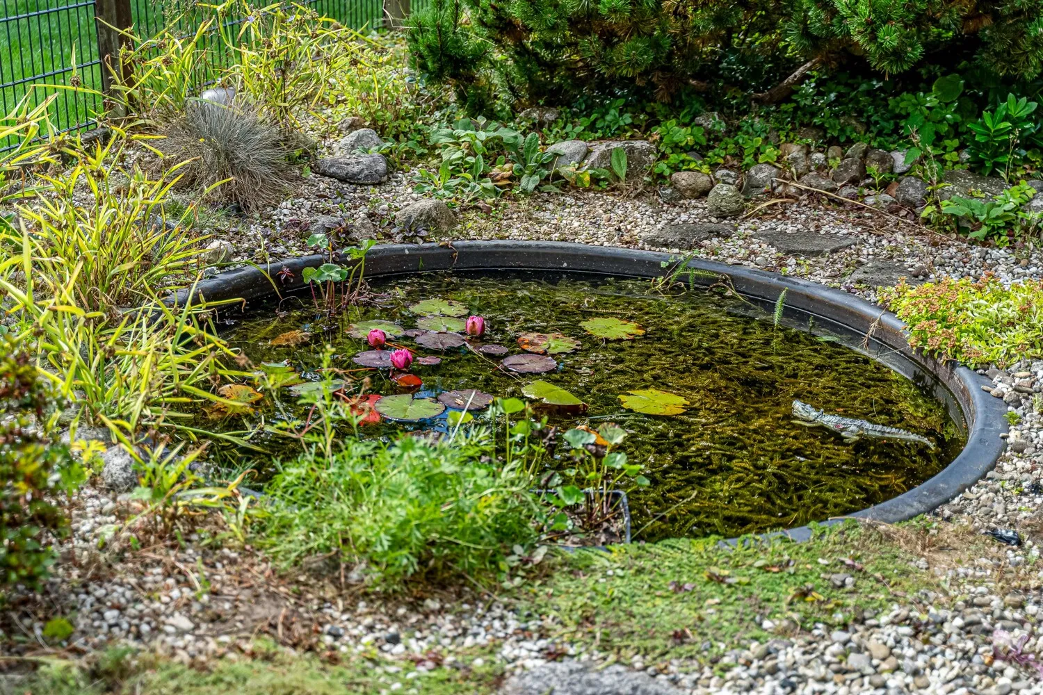 Ansicht Garten