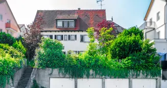 von_poll_real_estate_property_25455018_image_4